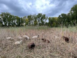 Thumbnail Img 0593 652473842a04f Thumbnail Img 0593 652473842a04f