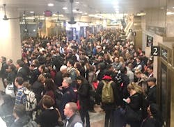 picture2grassi picture2grassi