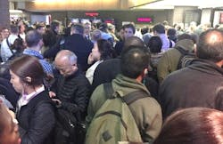 picture1grassi picture1grassi