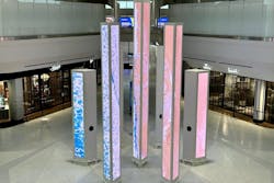 65a834bb9f9648001e69119e Forrest Of First 65a834bb9f9648001e69119e Forrest Of First