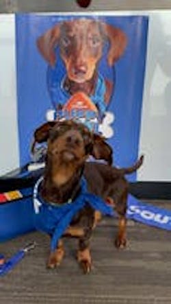 65ca3608295c53001e73257e Thumbnail364x204 65ca3608295c53001e73257e Thumbnail364x204