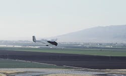 6650994e2d7aeb5f03b5df3a Picture134 6650994e2d7aeb5f03b5df3a Picture134