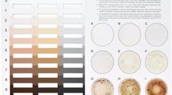 Color and Particle Assessment Chart Color and Particle Assessment Chart