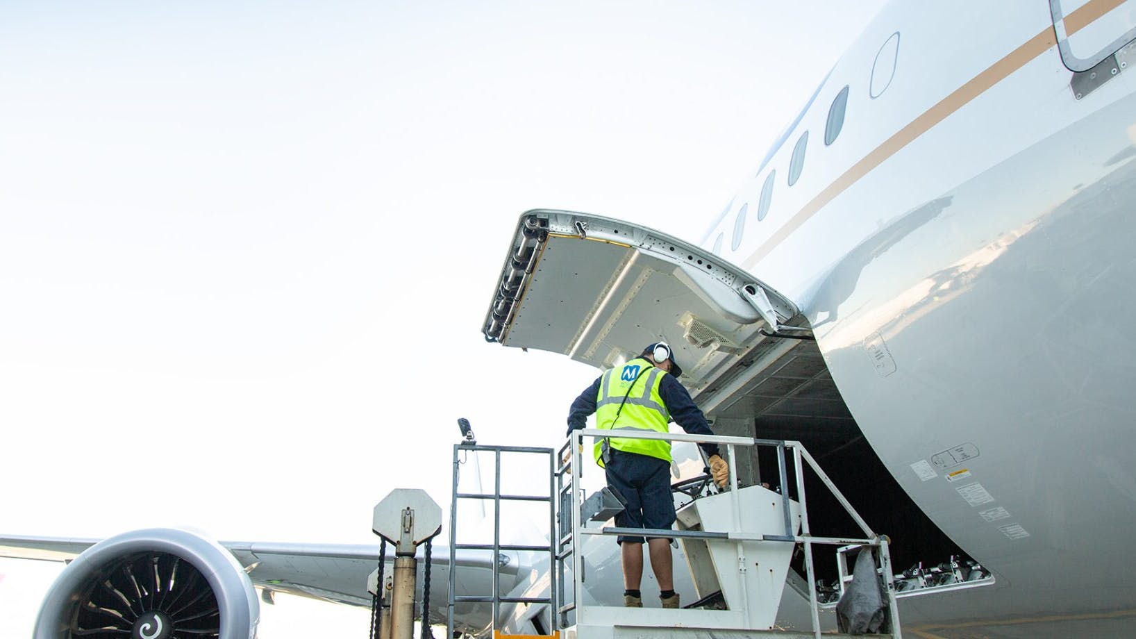 671b9d0da442004bcf2a5cd3 Image401903x920