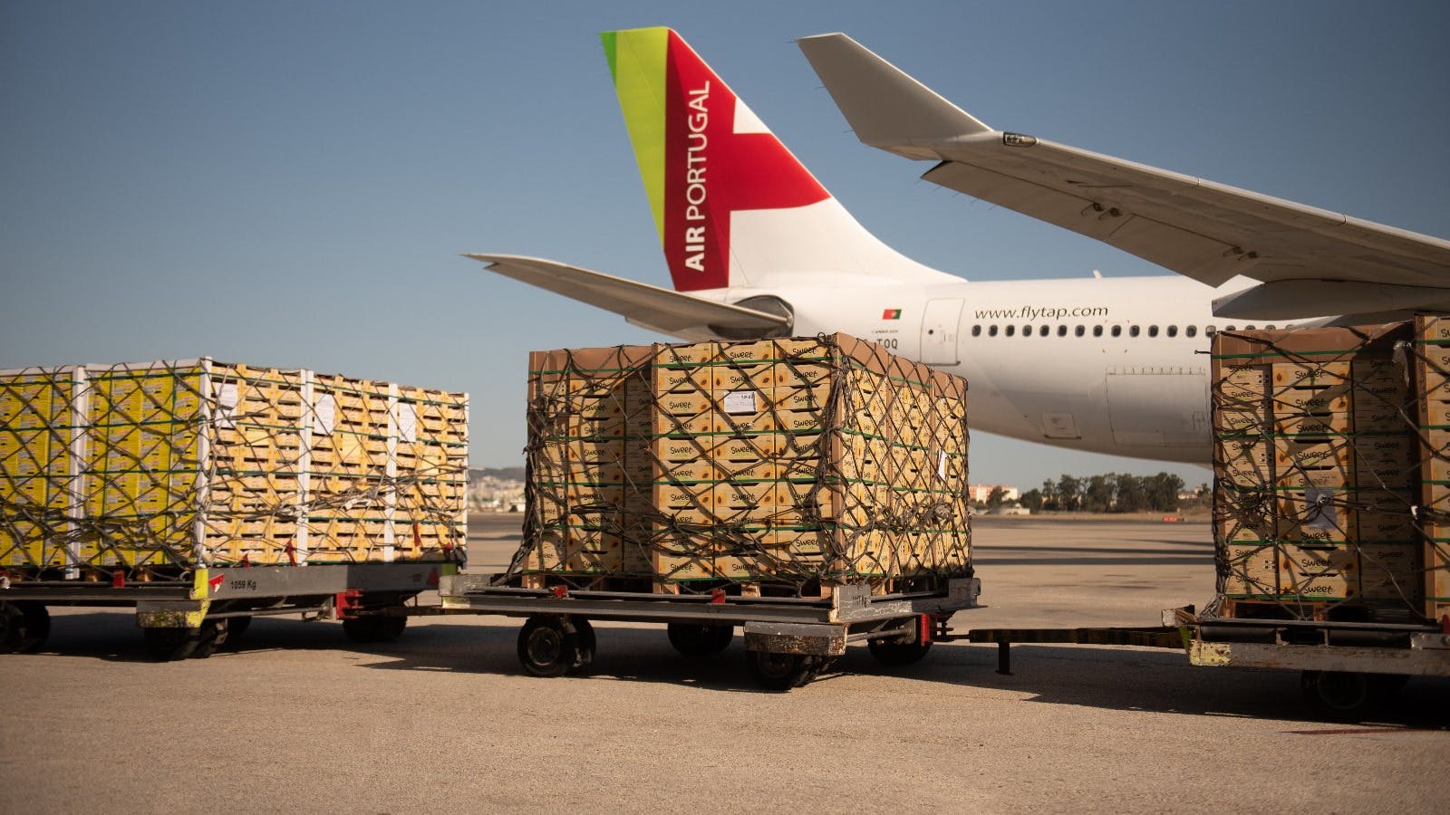 675850f1e4a68d7dd46fa4fe Wiremind Cargo And Tap Air Cargo Connect Cargospot