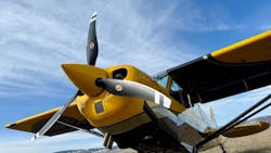 6818b3d1d767cf665a64f441 Husky 6818b3d1d767cf665a64f441 Husky