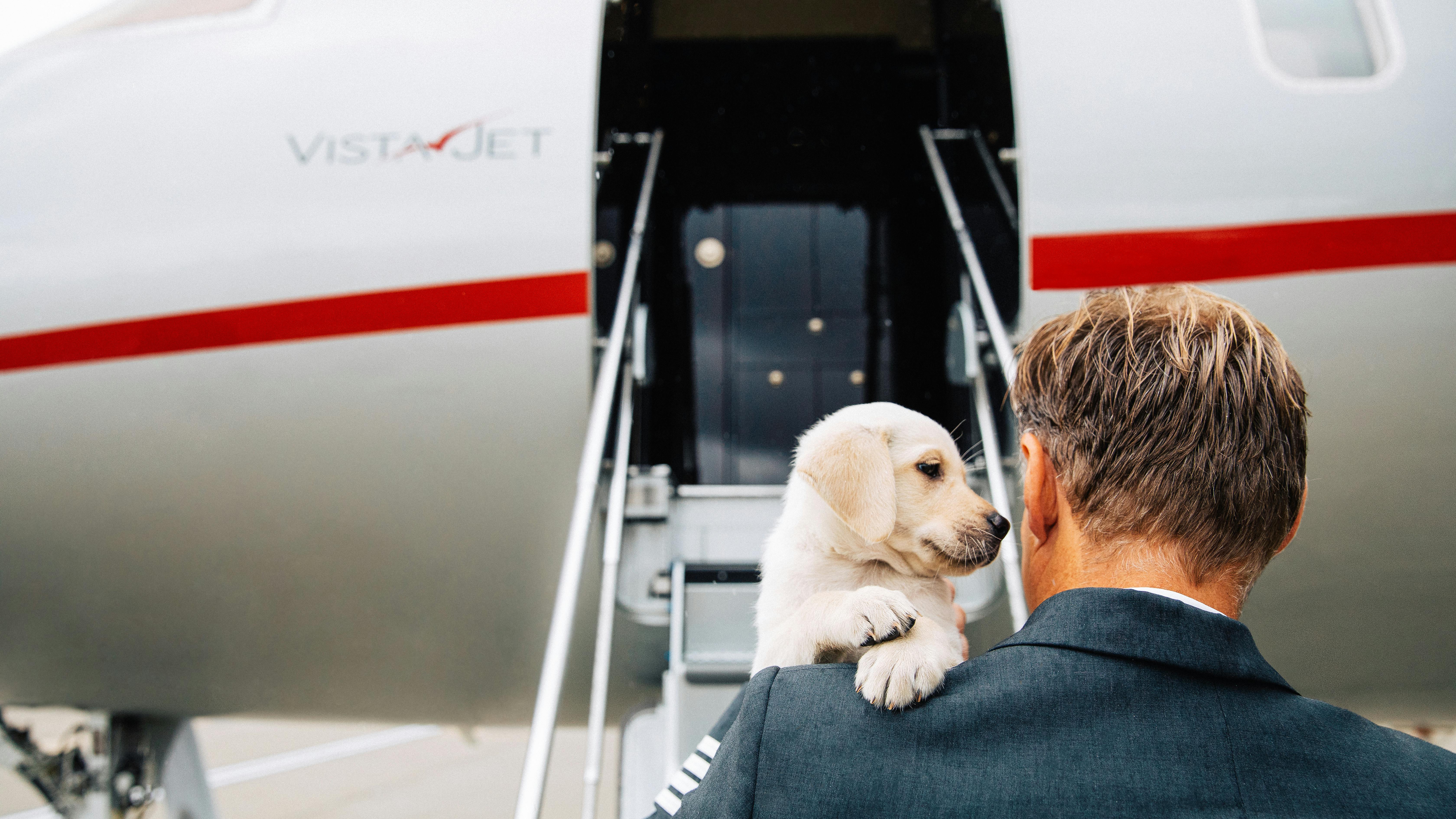 683861d6f64dccb1291b1b93 202505 En Vistajet Summerpet Hero