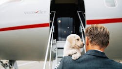 683861d6f64dccb1291b1b93 202505 En Vistajet Summerpet Hero 683861d6f64dccb1291b1b93 202505 En Vistajet Summerpet Hero