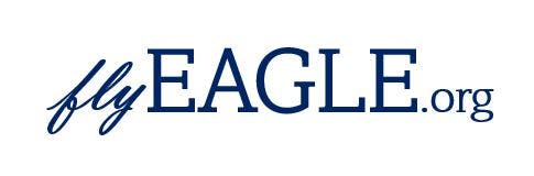 6880eae91d4498d8b8917905 Flyeagle