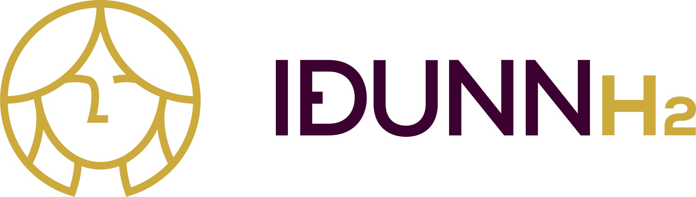 6888d709d44620aa02526eea Idunnh2 Logo