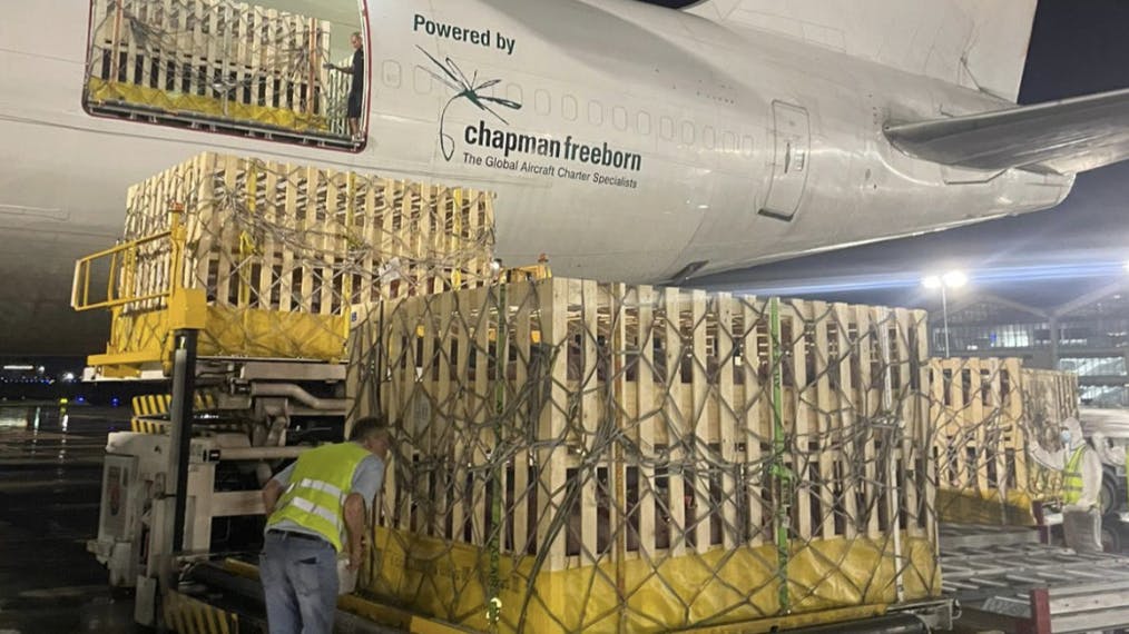 68b992a02b52d56fd38ab9bc Pigs