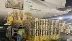 68b992a02b52d56fd38ab9bc Pigs 68b992a02b52d56fd38ab9bc Pigs