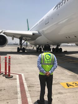 minerva_momentary_dnata_4 minerva_momentary_dnata_4