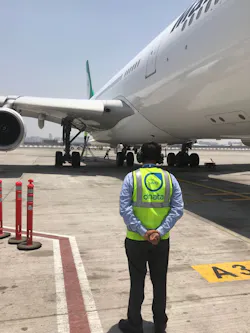 minerva_momentary_dnata_4 minerva_momentary_dnata_4