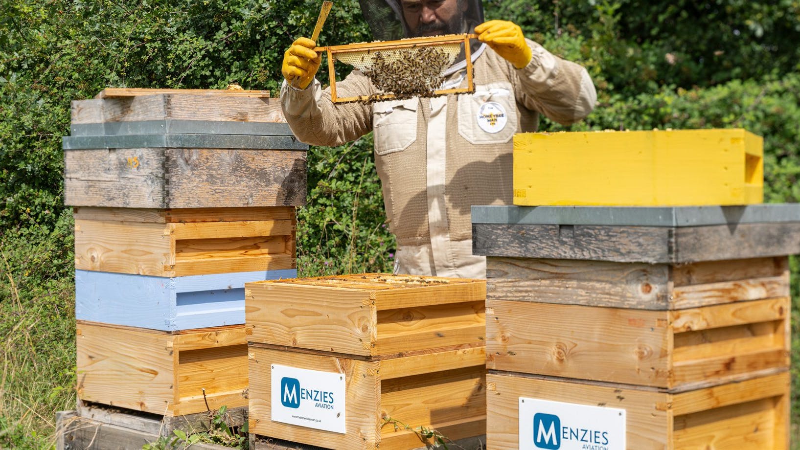 68dbdd3d056e1488cba3e337 Menziesaviationchampionsbiodiversitythroughnewhone