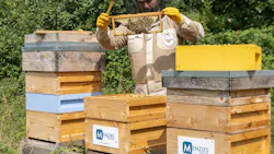 68dbdd3d056e1488cba3e337 Menziesaviationchampionsbiodiversitythroughnewhone 68dbdd3d056e1488cba3e337 Menziesaviationchampionsbiodiversitythroughnewhone