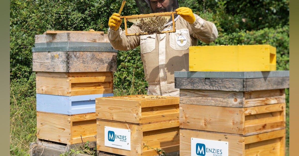 Menzies Aviation Champions Biodiversity Through Honeybee Man Partnership