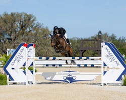 691e458b2f51def3d68819c6 Magellan Jets Terranova Photo Nov