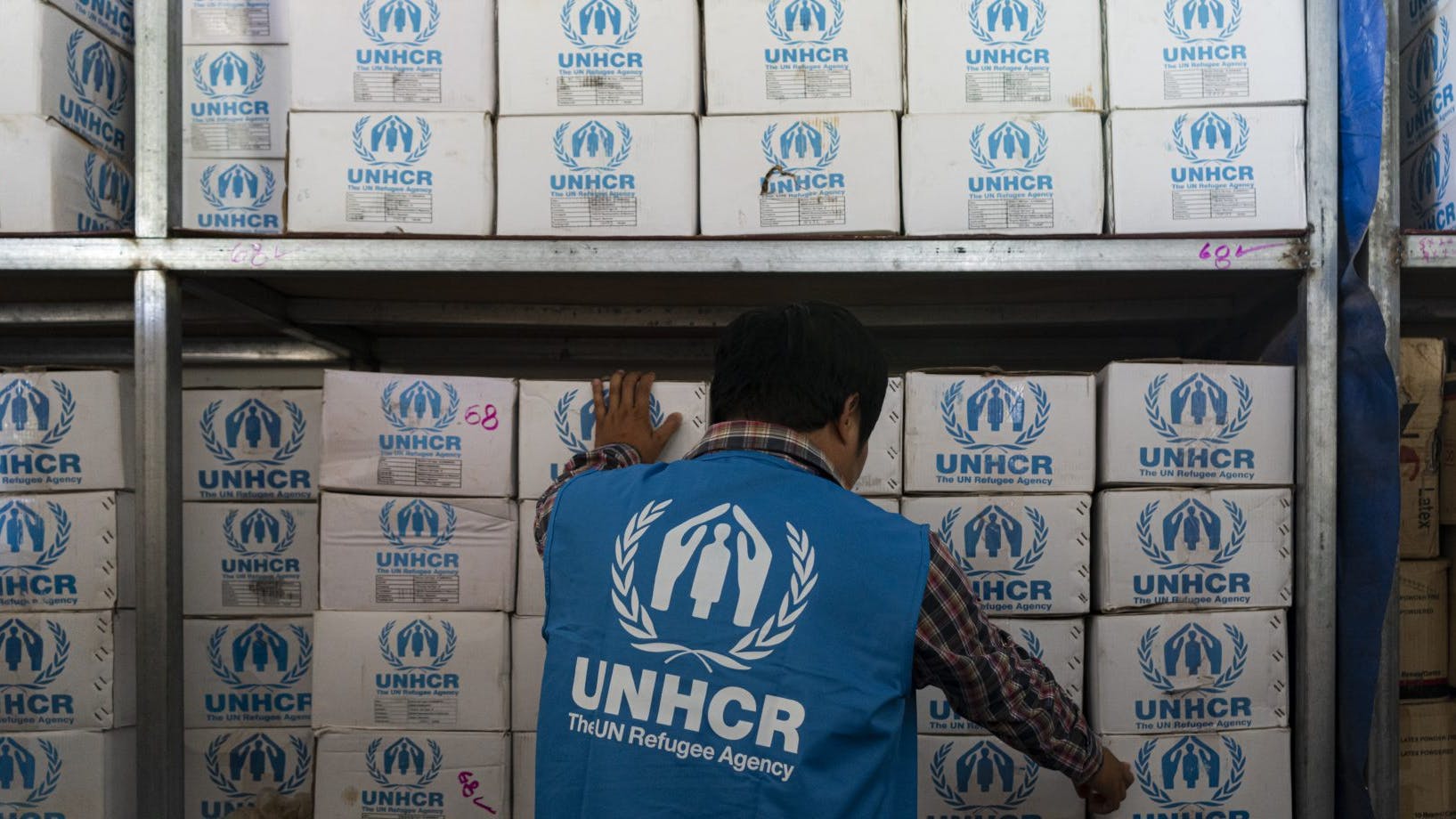 6993387af49e22ecef092bda Rf1261355 21903x920