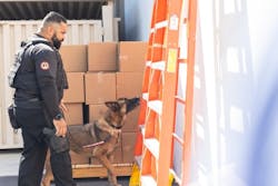 69baa753c8423d176ed4b8e8 Download 6 69baa753c8423d176ed4b8e8 Download 6