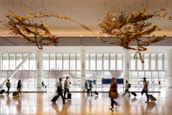 SAN New T1 Luminous Wave Wall and Torrey Pines Art Installation SAN New T1 Luminous Wave Wall and Torrey Pines Art Installation