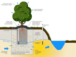PEIR Barrier stops PFAS transport in groundwater to protect resources. Phytoremediation improves established in situ retention barriers, providing evapotranspiration pumping and short chain PFAS treatment. PEIR Barrier stops PFAS transport in groundwater to protect resources. Phytoremediation improves established in situ retention barriers, providing evapotranspiration pumping and short chain PFAS treatment.