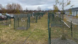 Species selection focuses on water uptake rather than canopy size or habitat value. The goal is not to create a landscaped amenity, but to enhance groundwater movement toward treatment media in a controlled and operationally compatible manner. Species selection focuses on water uptake rather than canopy size or habitat value. The goal is not to create a landscaped amenity, but to enhance groundwater movement toward treatment media in a controlled and operationally compatible manner.