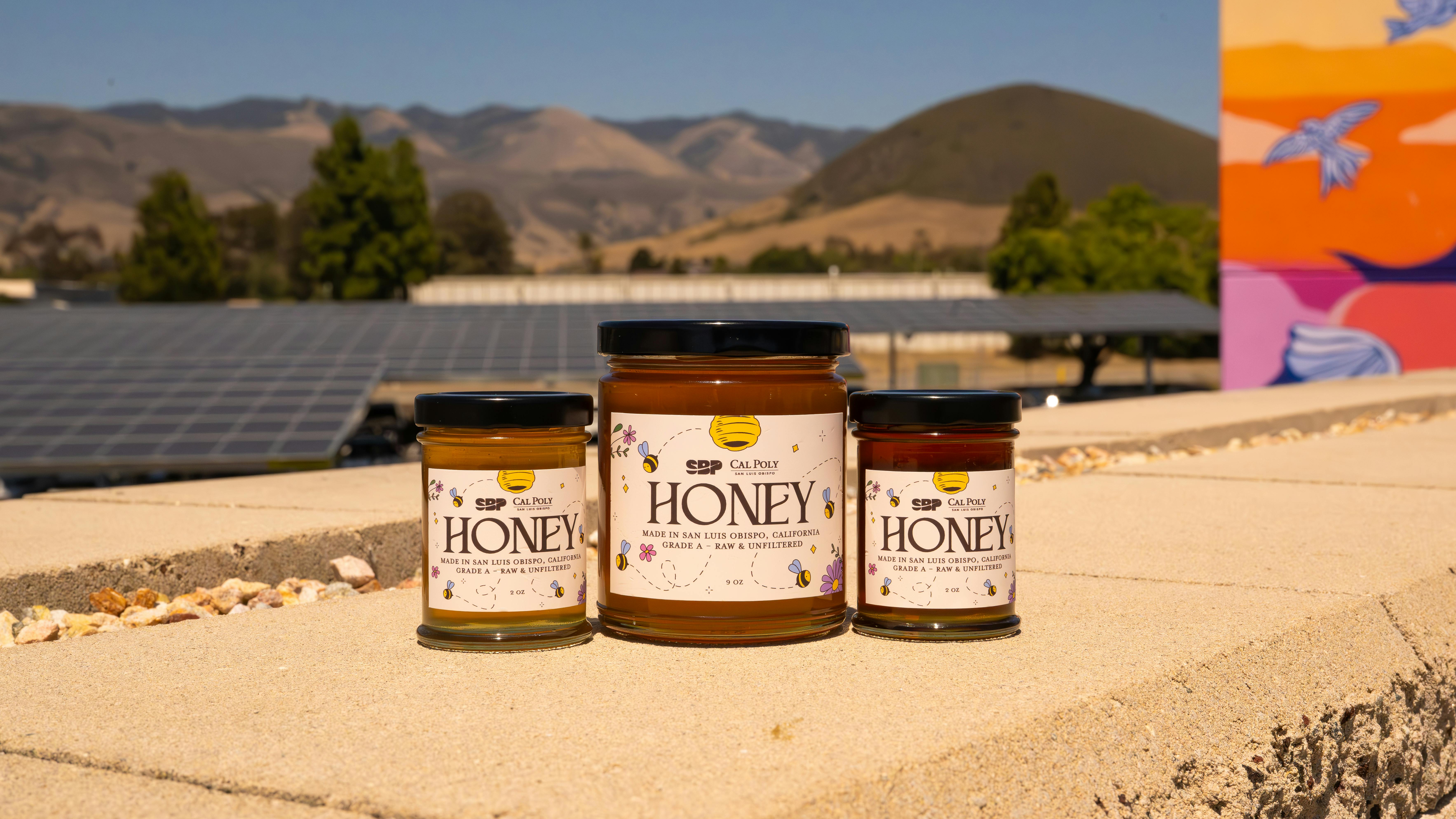 6a3bf7357f3a17bc02a82431 Sbp Honey5